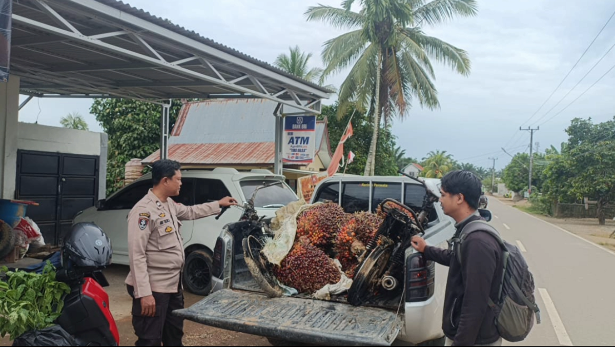 Pencurian sawit di Maro Sebo Ilir, 2 unit sepeda motor pelaku dibakar warga