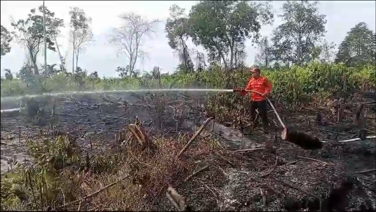 Lahan Seluas Setengah Hektar di Tebo Terbakar