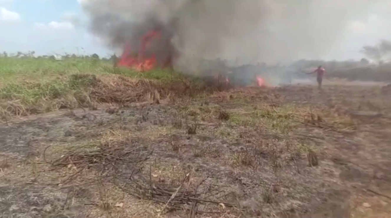 Kebakaran Lagi di Muaro Jambi, 2 Hektar Lahan di Desa Teluk Jambu Terbakar 