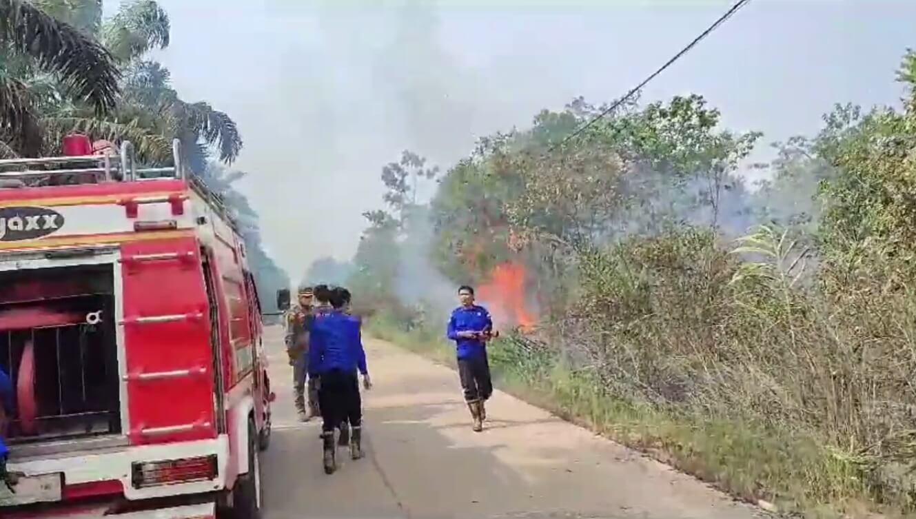 Kebakaran Lahan di Bukit Baling, 2 Hekatre Lahan Ludes Terbakar 