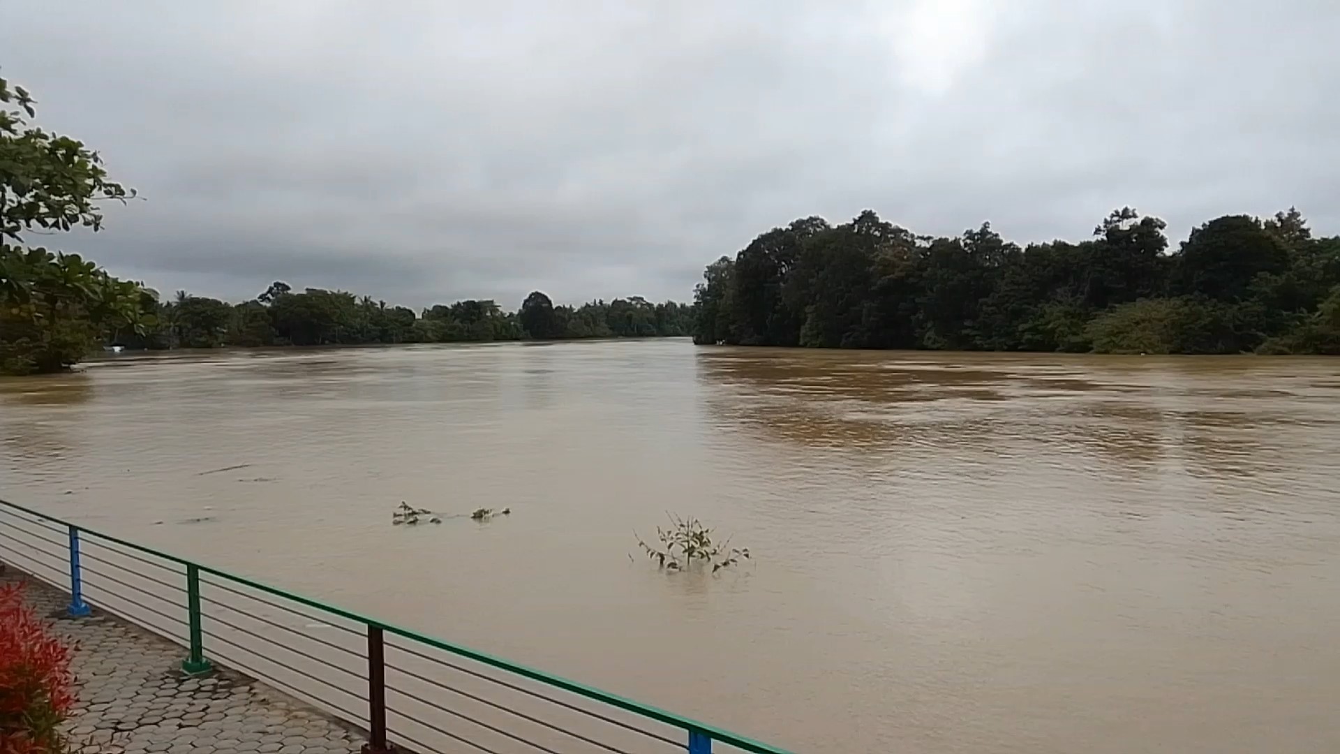 Kementerian LH Periksa Kualitas Sungai Batanghari, 4 Item Melebihi Baku Mutu