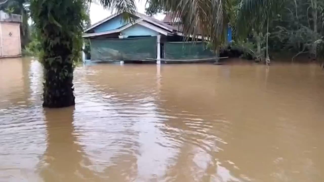 Banjir di Batanghari Rendam Ratusan Rumah, 158 KK di 2 Desa Terdampak