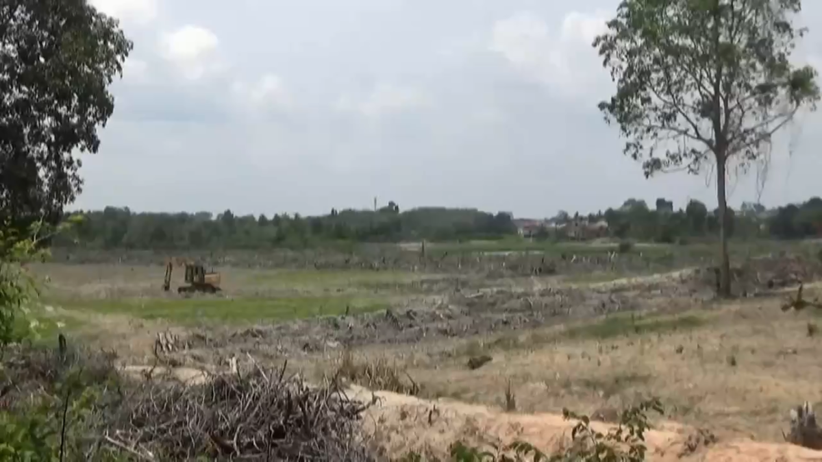 Dampak Kemarau, 2.042 Hektare Sawah di Batang Hari Belum Ditanami Padi