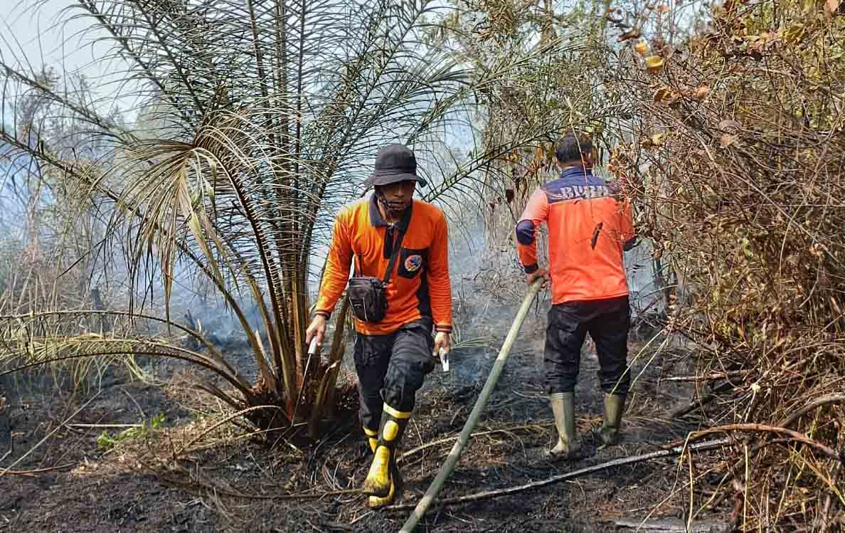 Dalam Tiga Hari, 15 Titik Api Berkobar di Batanghari