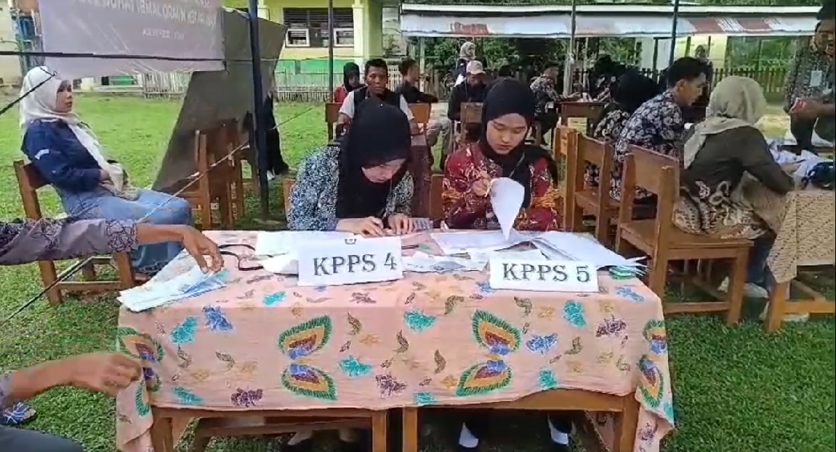 Partisipasi Pemilih Pada Psu Di Kabupaten Muaro Jambi Alami Penurunan