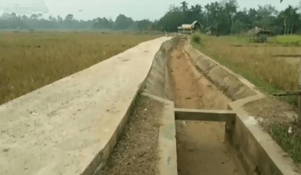 Irigasi Sawah Mengering Akibat Kemarau, Petani Tak Bisa Langsung Garap Sawah 