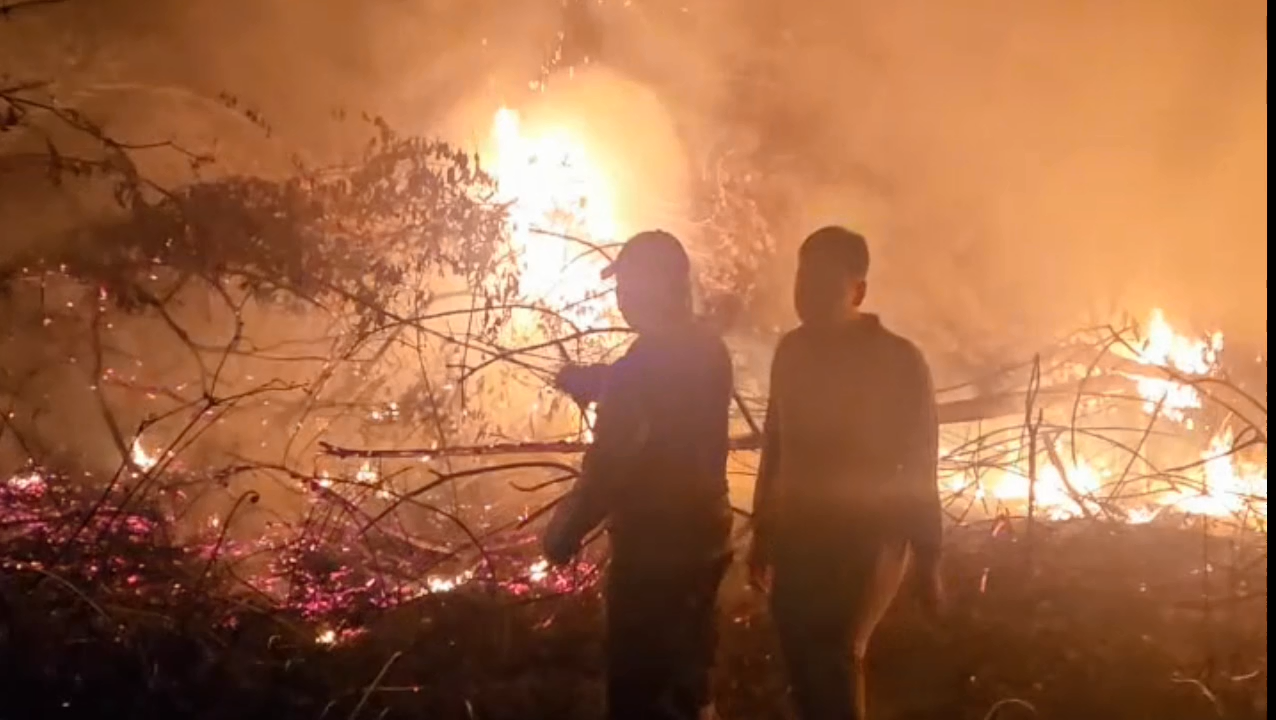 PT ALN Terbakar, Tim Karhutla Berjibaku Padamkan Api