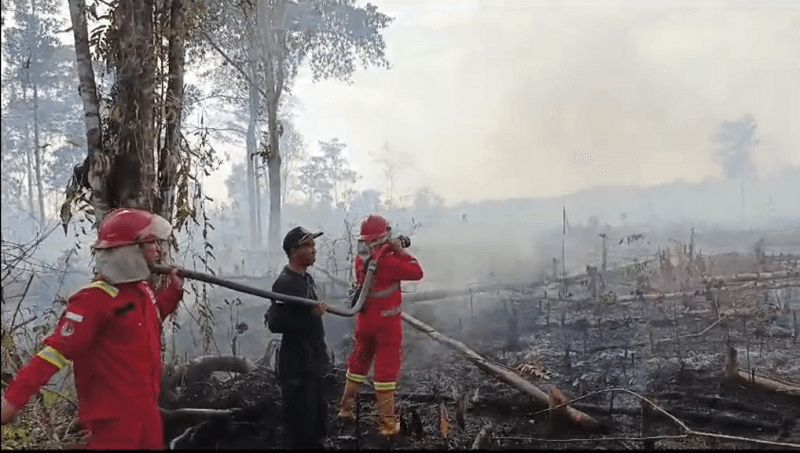 Karhutla di Sarolangun, 20 Titik Api Ditemukan Dalam Satu Pekan