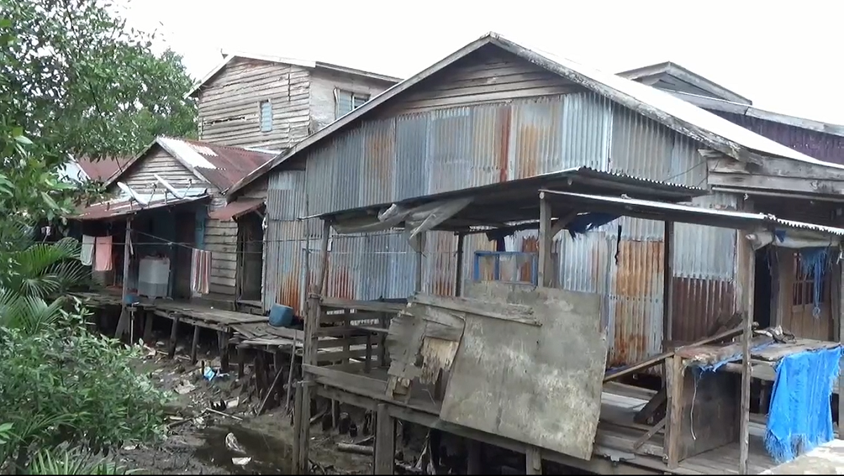 Waspada! 859 Kasus DBD di Provinsi Jambi, 4 Orang Meninggal