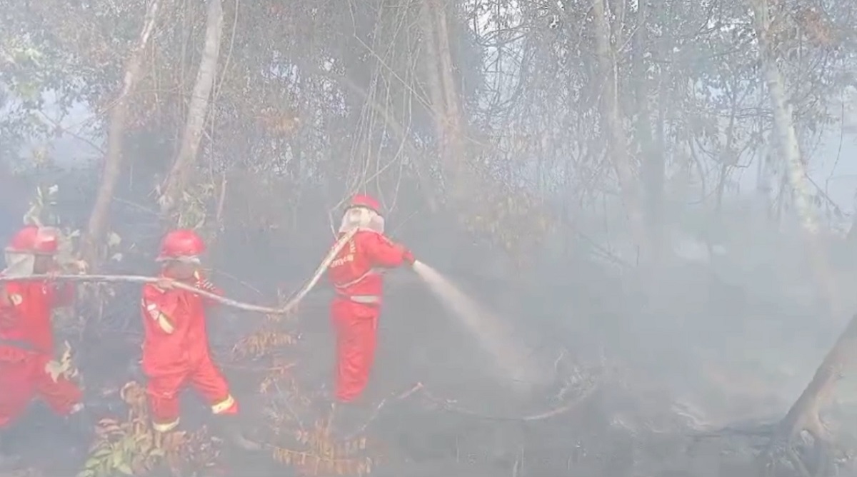 Status Siaga Darurat Karhutla di Sarolangun Diperpanjang hingga 18 November 2024