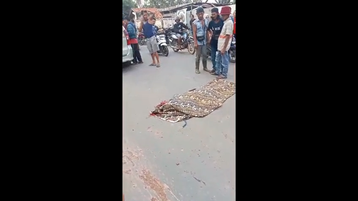 Tragedi di Jalan Jambi-Tangkit: Satu Tewas, Pelaku Tabrak Lari Masih Diburu