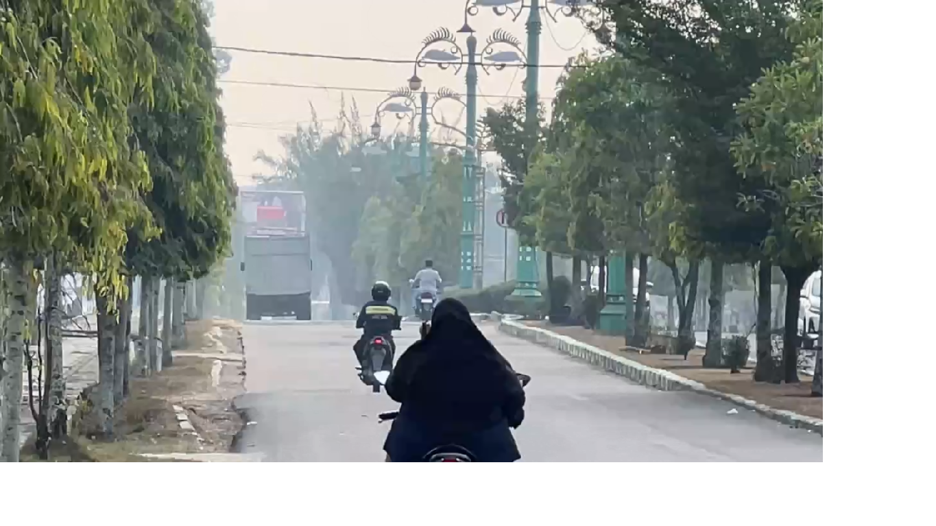 Dalam Enam Hari, Tercatat 805 Kasus ISPA Di Batang Hari