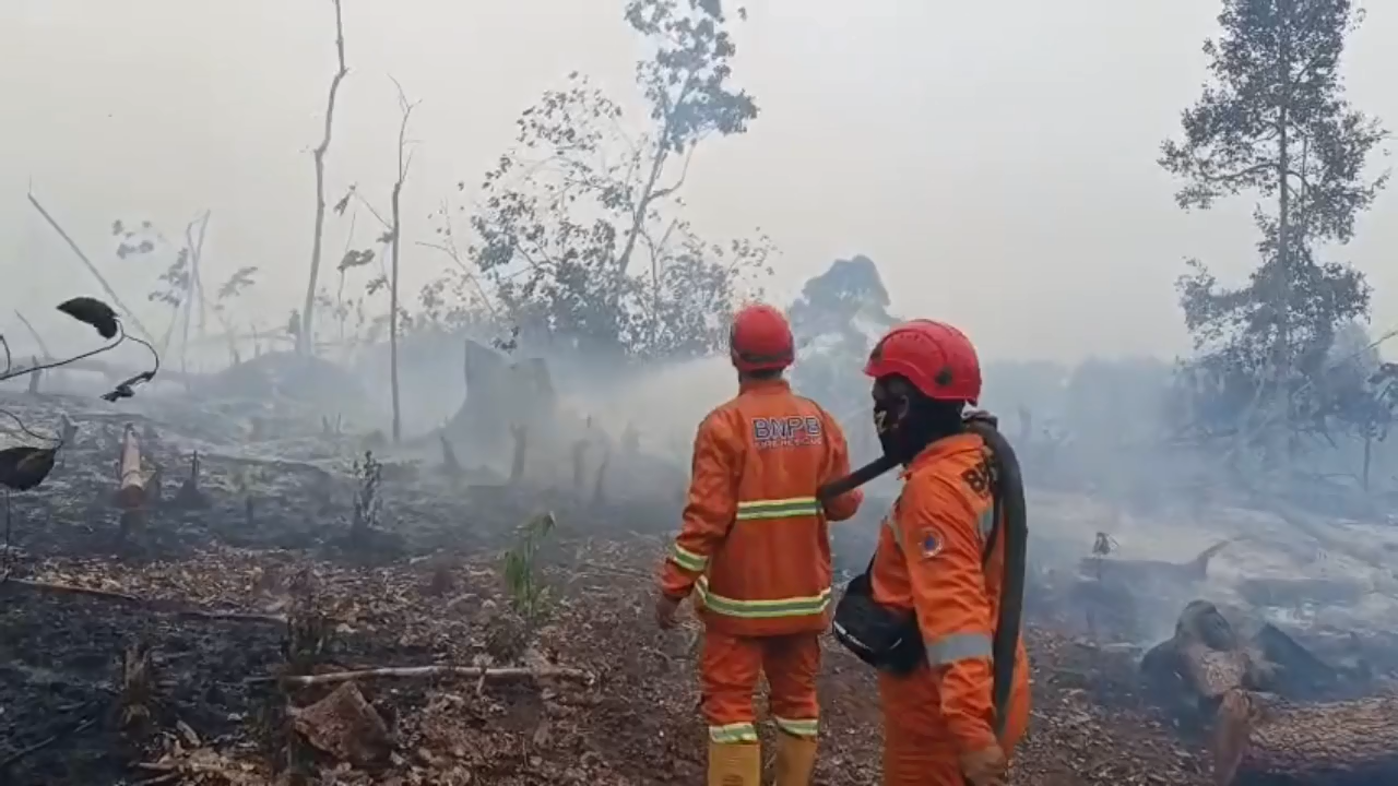 Sempat Nihil, Tiga Titik Api Karhutla Kembali Terdeteksi di Batanghari