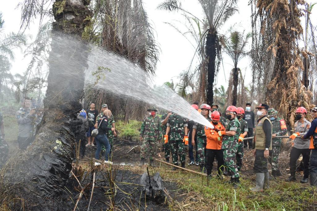 Gubernur Al Haris Bersama KASAD Dudung Abdurachman Turun Langsung Padamkan Api di Desa Ramin