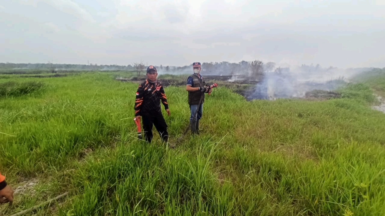 Kebakaran Lahan di Mudung Darat Area Bekas Persawahan, 1 Helikopter Diterjunkan Padamkan Api