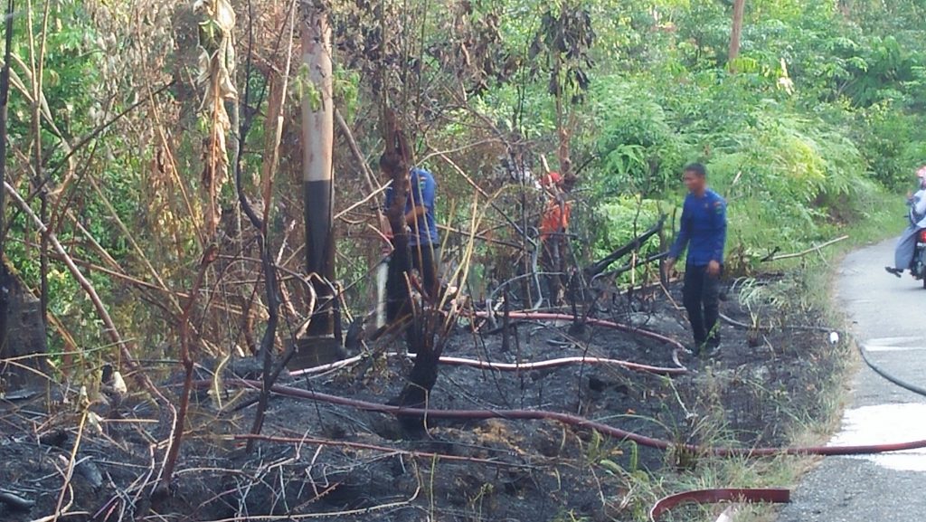 Pemerintah Pusat Nilai Penanganan Karhutla di Jambi Cukup Baik, Berikut 3 Daerah Tertinggi !!!