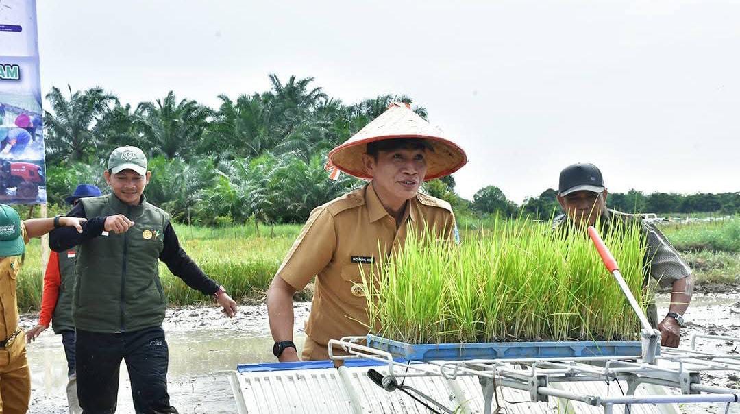 Bupati Mhd. Fadhil Arief Targetkan 8.252 Hektar Lahan Ditanami Padi