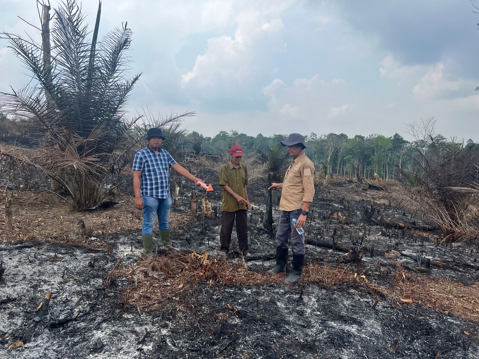 Tertangkap Basah Bakar Lahan, Lansia 68 Tahun Ditetapkan Jadi Tersangka