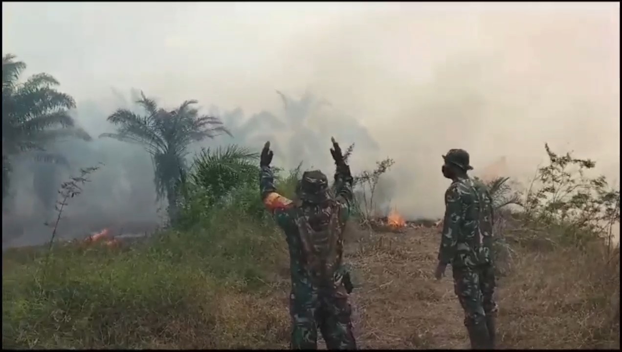 13 Hektar Lahan di Muaro Jambi Terbakar Dalam Sepekan