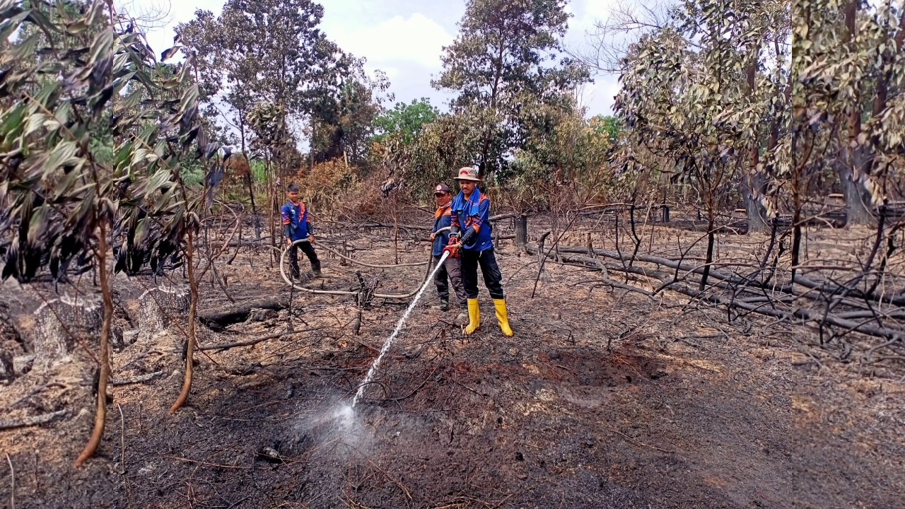 Kebakaran Lahan di Tangkit Mencapai 3 Hektare, Pembukaan Lahan Dengan Cara Dibakar Terancam Pidana