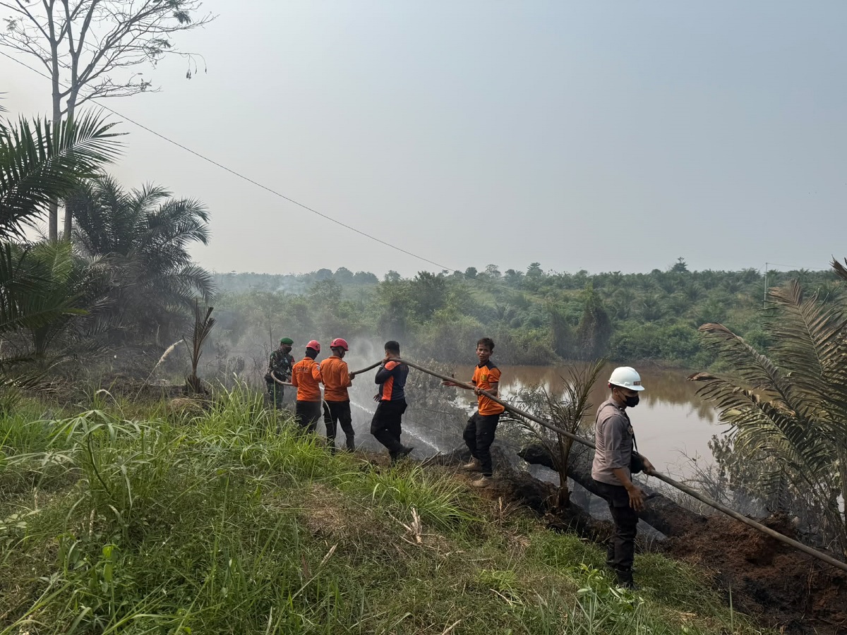 Hotspot Terdeteksi, Dua Hektare Lahan di Sarana Jaya Bungo Terbakar