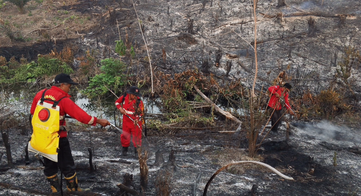 Waspada Karhutla! 11 Titik Api dan Puluhan Titik Panas Terdeteksi di Batanghari
