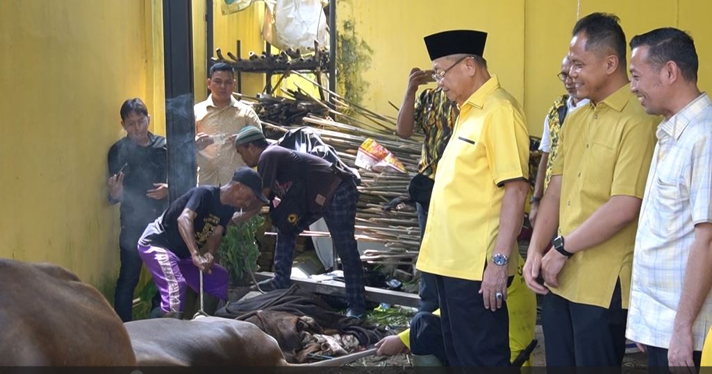 DPD Partai Golkar Provinsi Jambi Kurbankan 8 Ekor Sapi