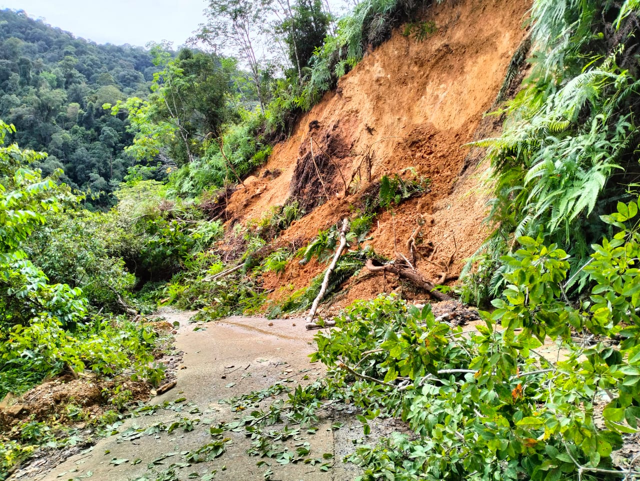 Tanah Longsor Di Batang Asai, Akses Jalan Tertutup, Rumah Warga Nyaris Tertimbun