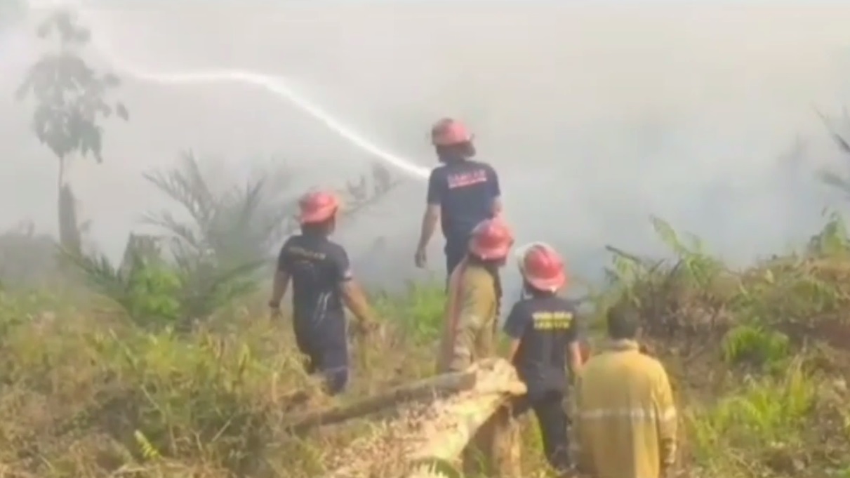 Kebakaran Lahan di Bungo, Kebun Sawit Seluas 5 Hektar Terbakar