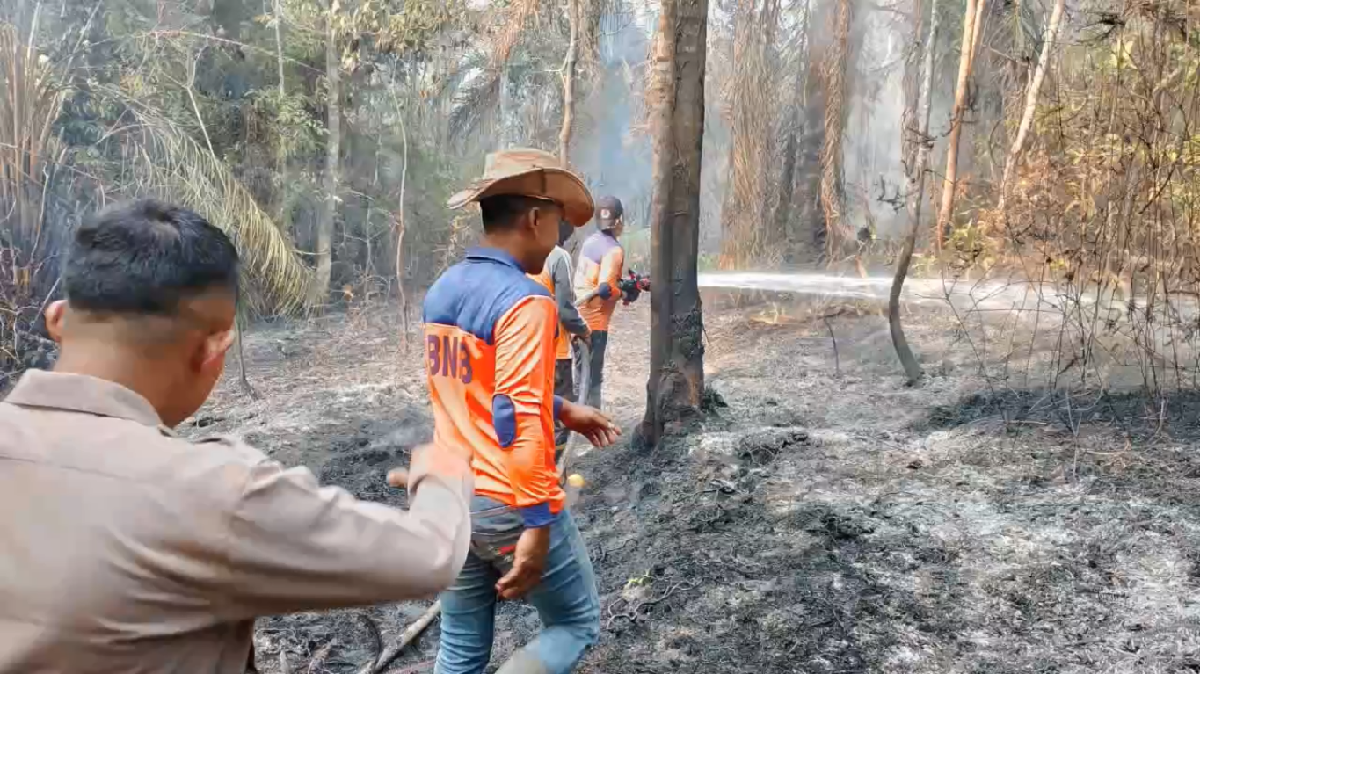 Karhutla Batang Hari, 10 Hektare Hutan di Kuali Pecah Bajubang Terbakar