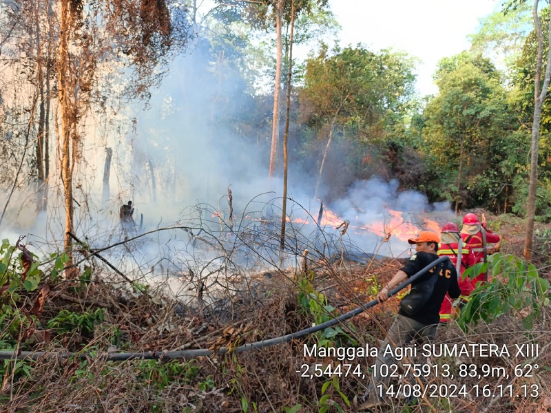 Karhutla di Sarolangun, Api Melahap 3 Hektar Lahan di Desa Simpang Nibung 