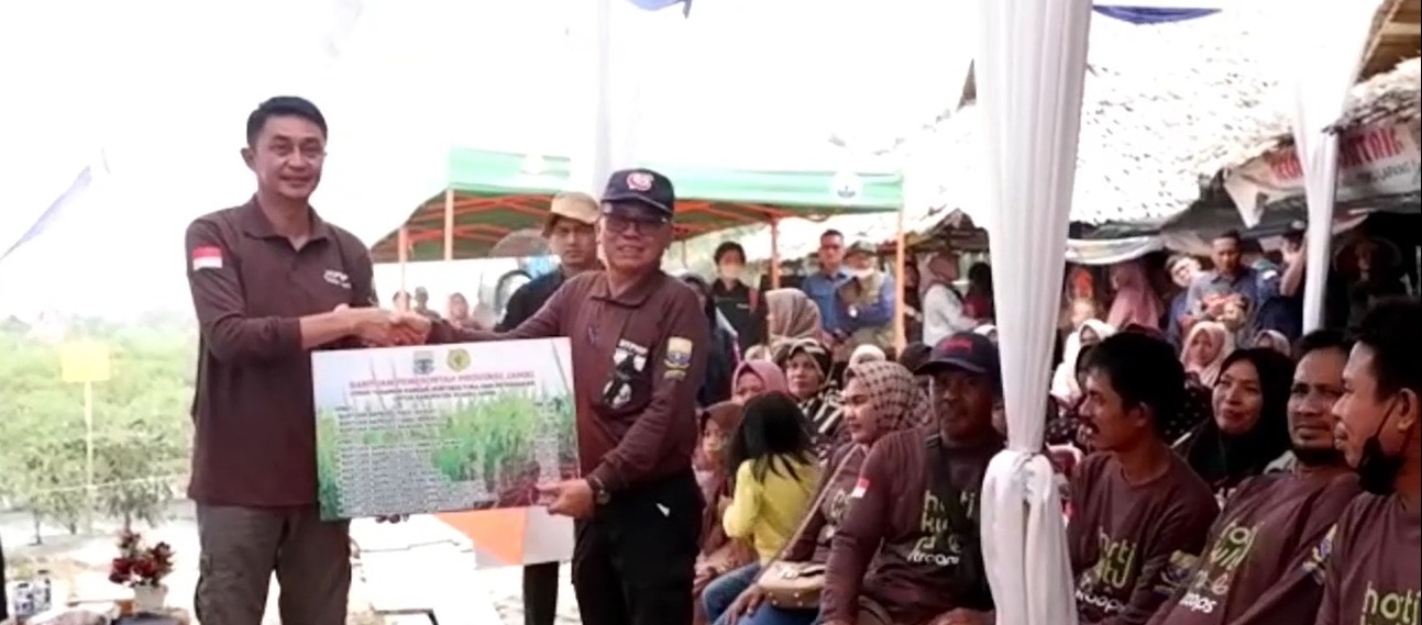 Pj Bupati Bachyuni Panen Raya Cabai Merah di Talang Kerinci