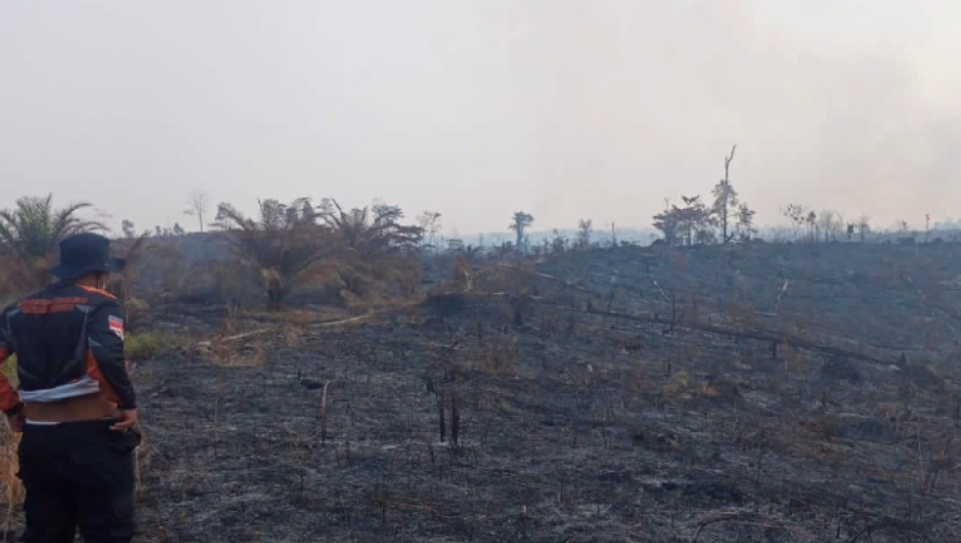 100 Hektar Lahan di  Marosebo Ulu Hangus Terbakar