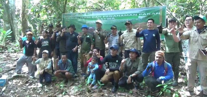 Cegah Konflik Manusia dan Satwa, PT ABT Gelar Sosialisasi, Edukasi dan Penanaman Pakan Satwa