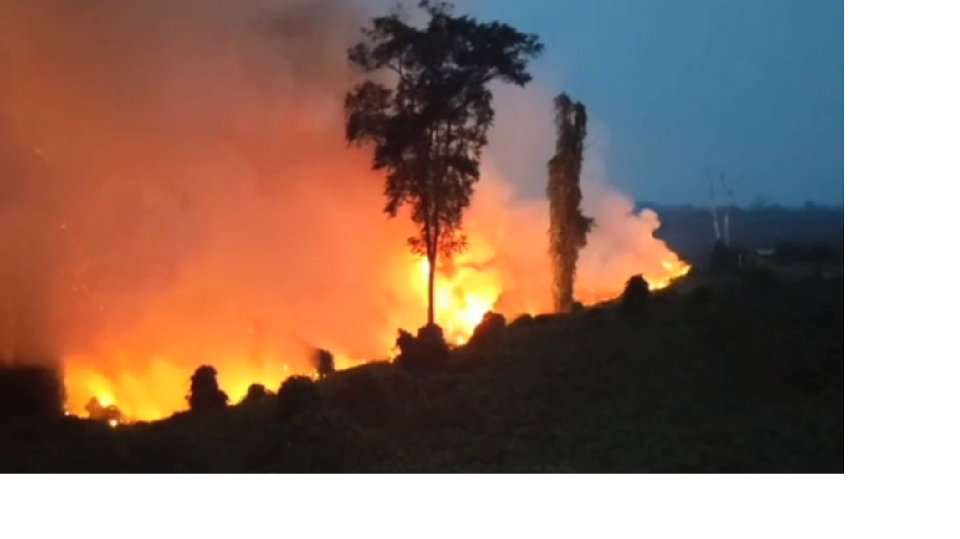 Karhutla Melanda Perbatasan Muara Sekalo dan PT TAL, Api Masih Berkobar