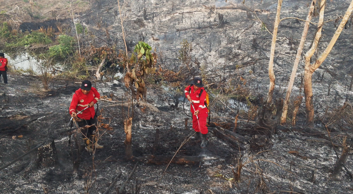 Petugas Gabungan Padamkan 5 Hektar Lahan Terbakar di Bajubang Batang Hari