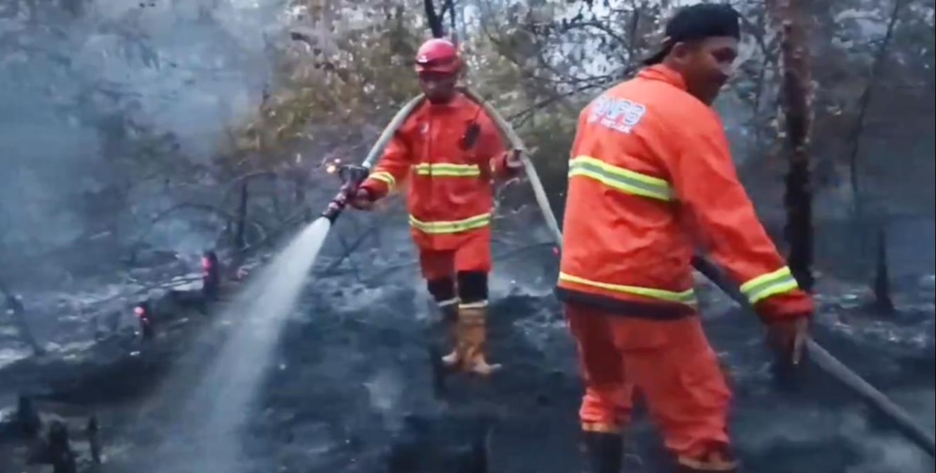 Dua Hektare Kebun Sawit dan Karet di Muara Tembesi Terbakar, Diduga Akibat Bakar Sampah