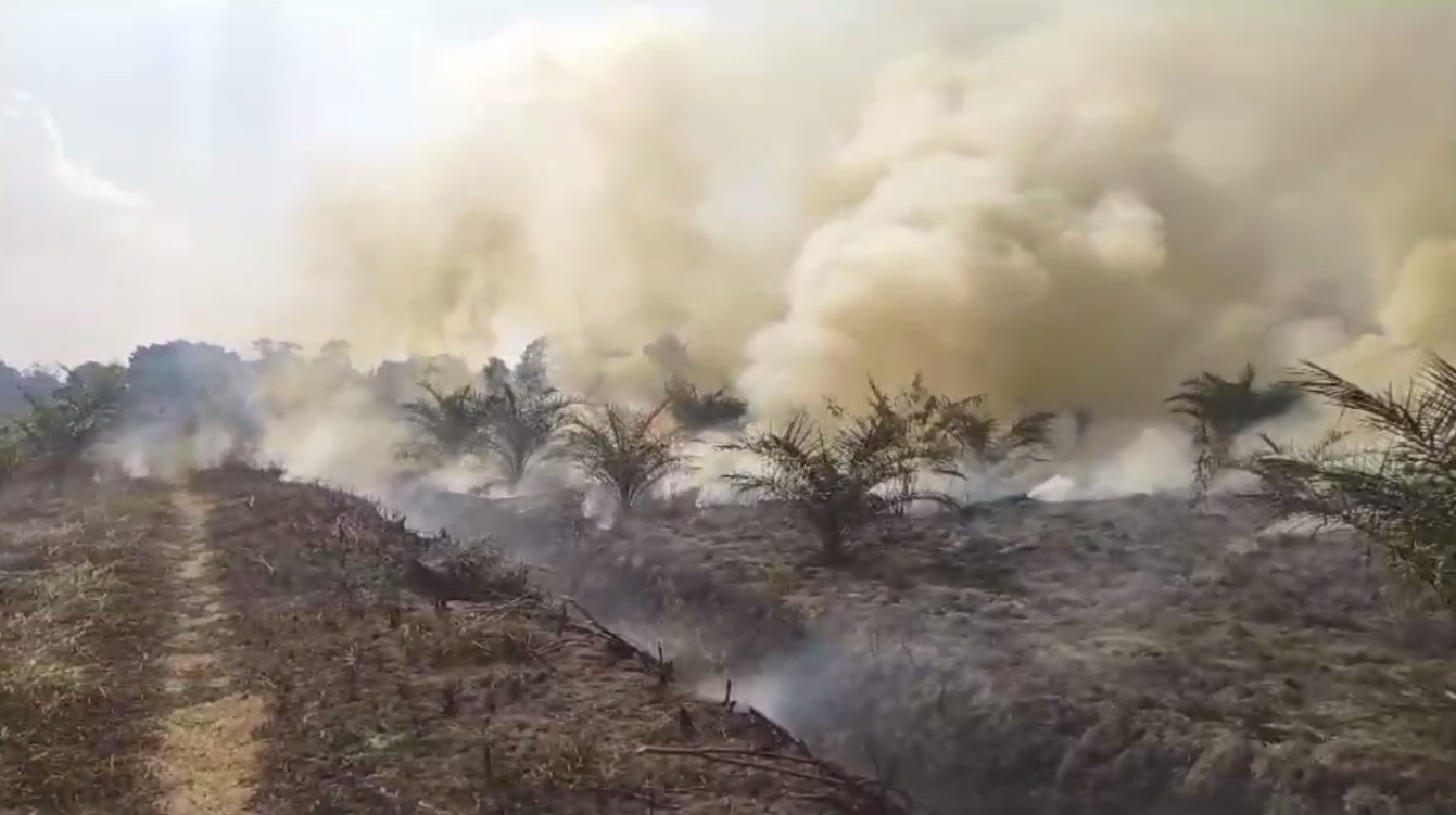 Tercatat 70 Hektar Lahan Terbakar di Kabupaten Sarolangun