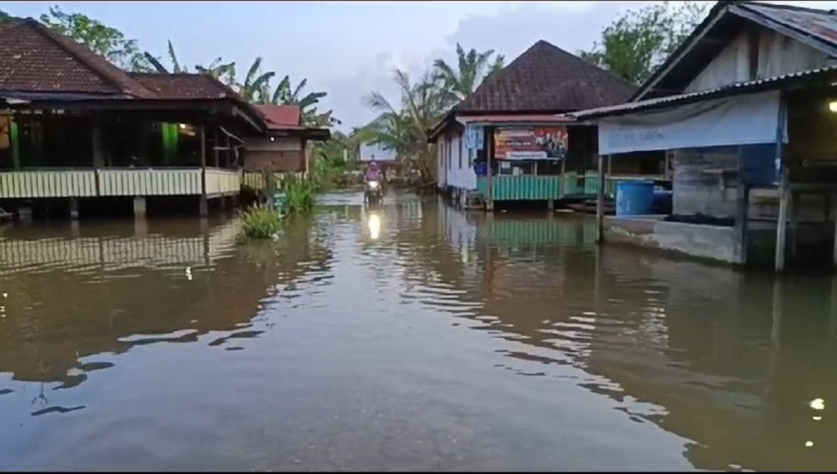 Baru Sebentar Surut, Untuk Ketiga  Kalinya Banjir Rendam Ratusan Rumah Warga di Desa Sarang Burung