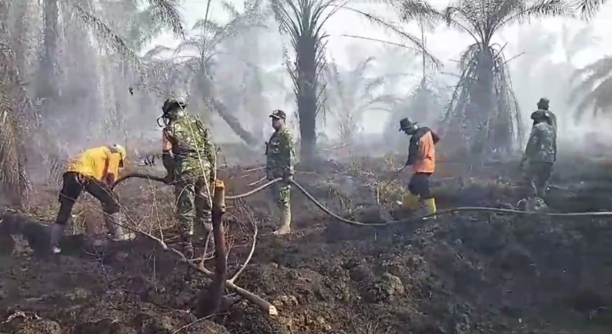 Lahan Yang Terbakar di Desa Ramin Mencapai 18 Hektare 