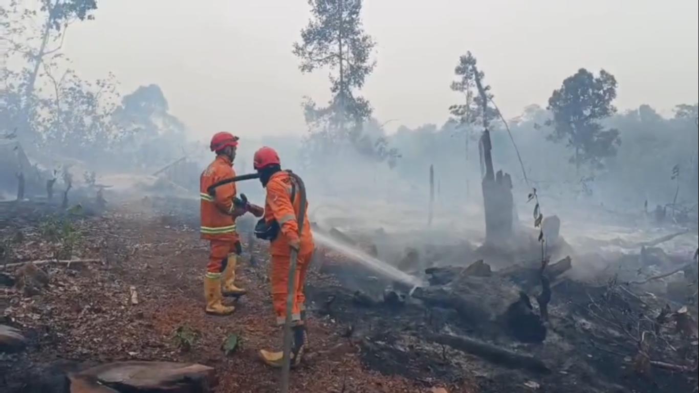 Sempat Nihil Usai Hujan, Tiga Titik Karhutla Kembali Muncul di Batang Hari