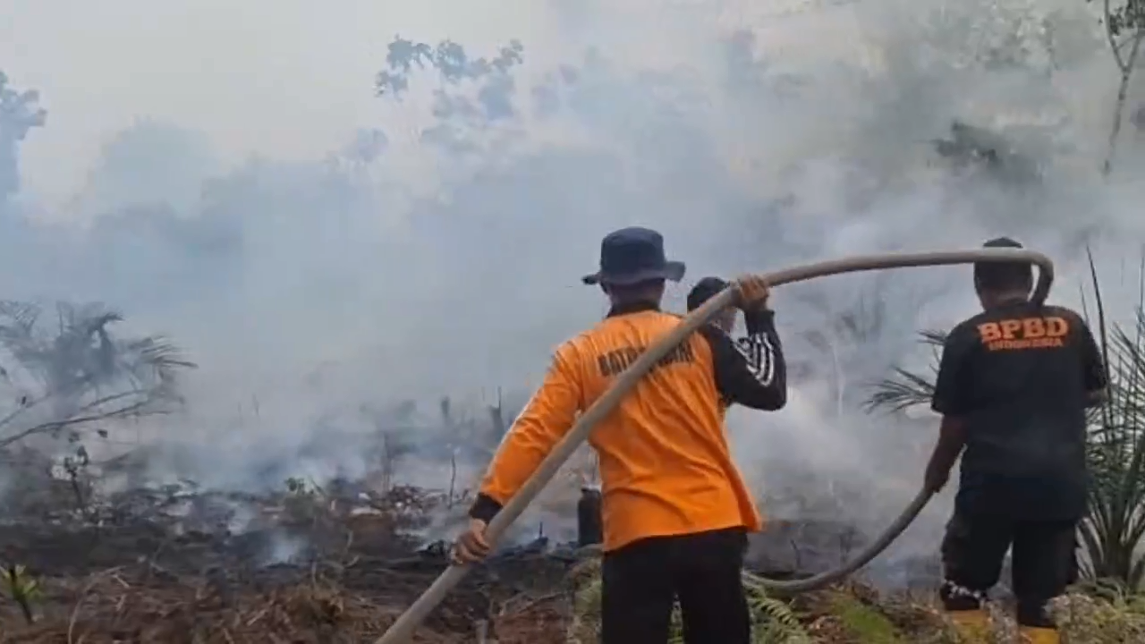 Luas Hutan dan Lahan Terbakar di Batanghari Capai 1.316 Hektare