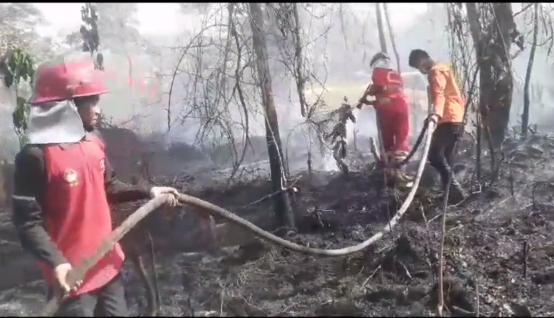 Setengah Hektar Kebun Sawit Terbakar, Tim Satgas Padamkan Api Selama 2,5 Jam