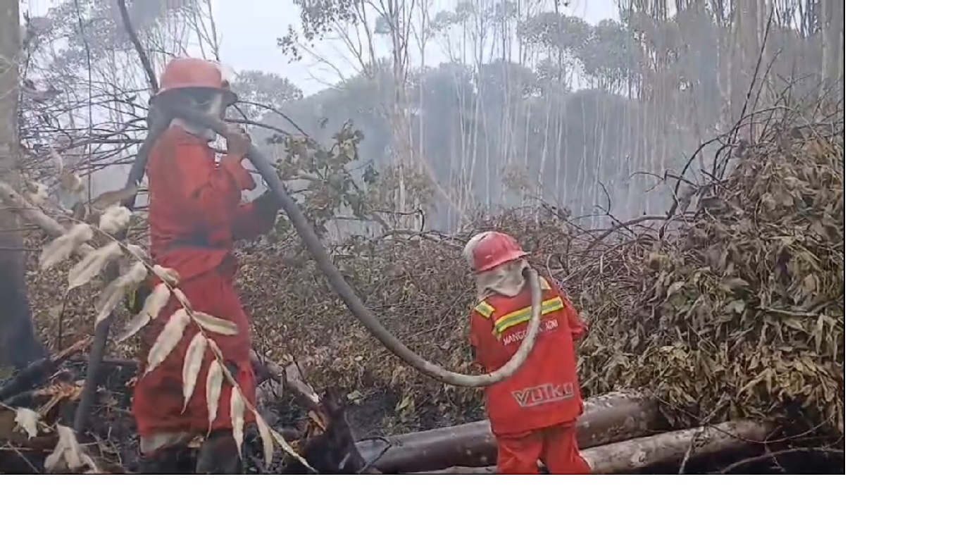 8 Hektar Lahan di Aurgading Membara, Sudah 3 Hari Petugas Berjibaku Padamkan Api