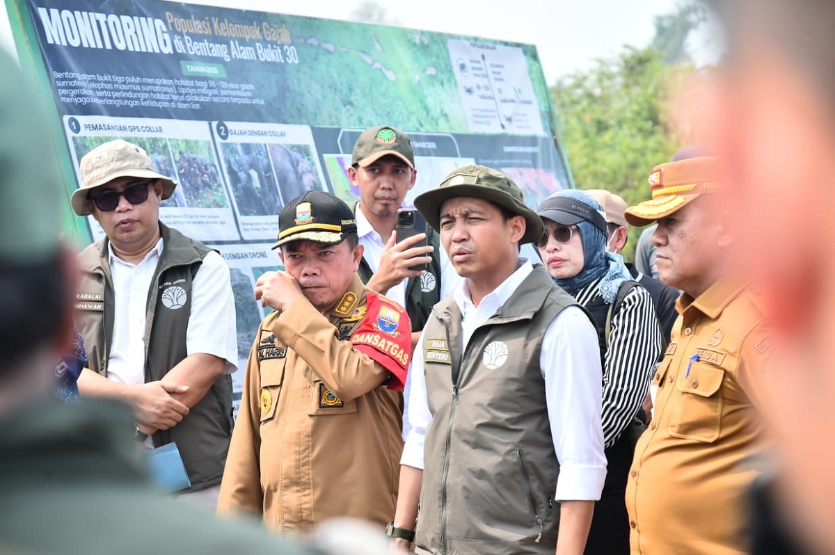 Dampingi Menhut Raja Juli, Al Haris Tinjau Konservasi Gajah dan Hutan Desa di Jambi