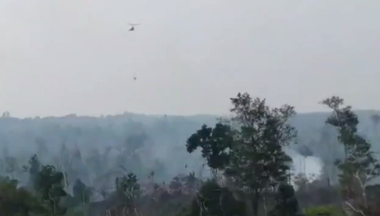 200 Hektar Lahan Tahura STS Jambi di Kabupaten Batanghari Hangus Terbakar