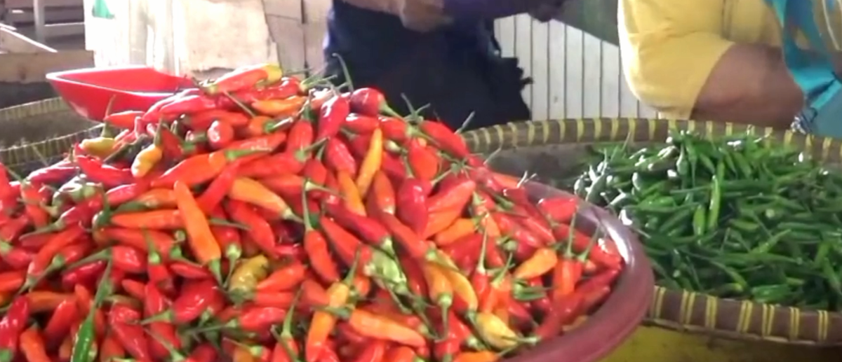 Harga Cabai di Pasar Aurduri Jambi Melambung Pasca Lebaran