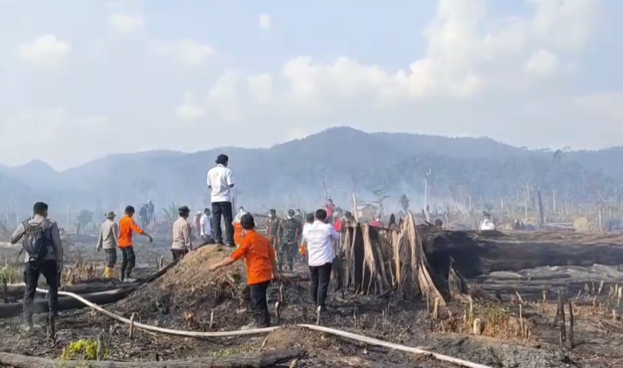 Lahan Yang Berdekatan Dengan Taman Nasional Bukit Tiga Puluh Terbakar, Dandim 0416 Bute Siagakan Personel