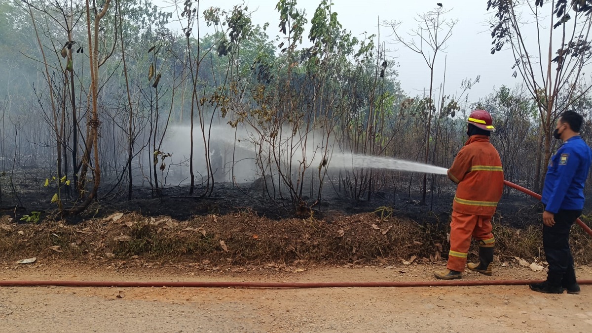 Damkar Muaro Jambi Kembali Berjibaku Padamkan Kebakaran Lahan di Jaluko