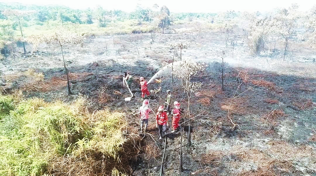 Karhutla Terjadi Di Sarolangun, Puluhan Hektar Lahan Terbakar, Petugas Sudah Memasuki Hari Ketiga Pemadaman 